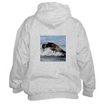 Baby Seal Watercolor Hooded Sweatshirt by NANCE